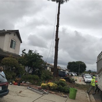 First Class Tree Service - Tree Services Near Me