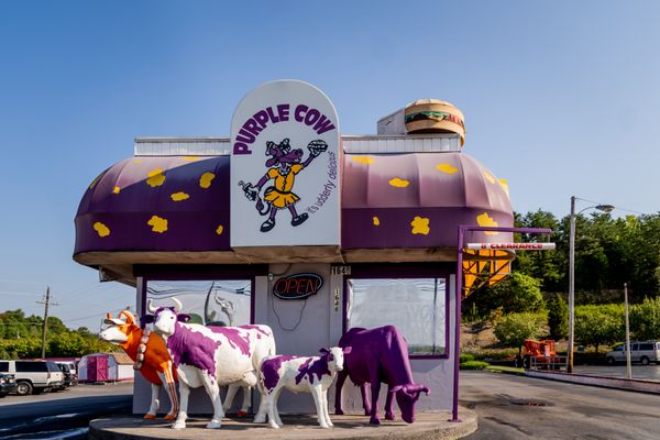 Purple Cow by null