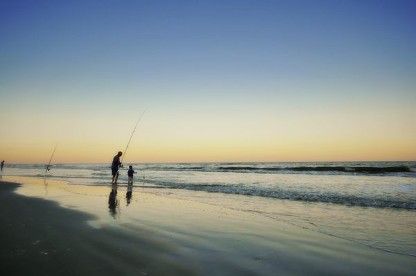Palmetto Dunes Oceanfront Resort by null