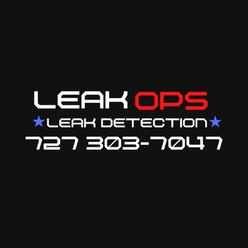 Leak Ops - High water bill? Visual water damage? Mold? Hearing water running but nothing is on? Give us a call at (727) 303-7047 - Pool & Hot Tub Service Near Me