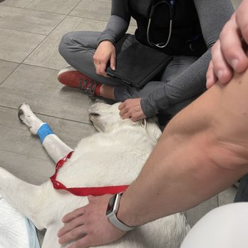 Veterinary Emergency Group - Emergency Pet Hospital Near Me - Denver, Colorado Veterinary Emergency Group - Emergency Pet Hospital Near Me - Denver, Colorado