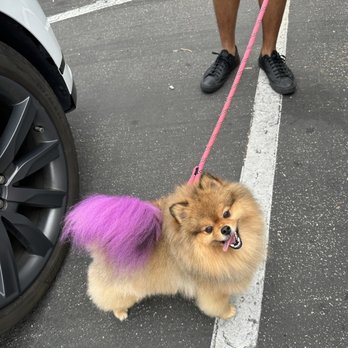 Barbie's Pet Salon - Pet Groomers Near Me - Santa Barbara, California