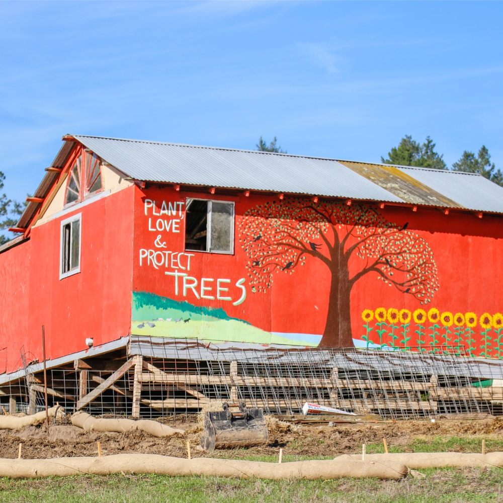 Bodega Ranch - Bed & Breakfast Near Me
