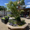 Cosmic Dog Outpost gift card