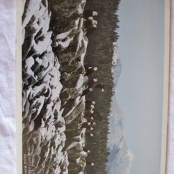 Starboard Frames and Gifts