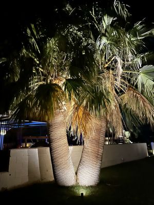 Miracle Manor Boutique Hotel & Spa by null
