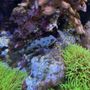 Aquatic Design Aquariums