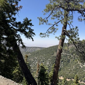 Mount Baden-Powell Trail - Hiking Near Me
