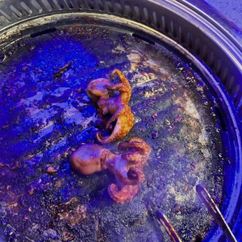 Hungry Pot - Octopus - so good !! - Seafood Near Me - Danbury, Connecticut Hungry Pot - Octopus - so good !! - Seafood Near Me - Danbury, Connecticut
