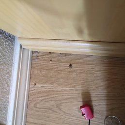 Debris left after they came to clean