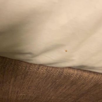 Best Western Grants Pass Inn - Spots on the mattress - Hotels Near Me - Grants Pass, Oregon Best Western Grants Pass Inn - Spots on the mattress - Hotels Near Me - Grants Pass, Oregon