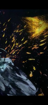 teamLab Borderless: MORI Building DIGITAL ART MUSEUM by null