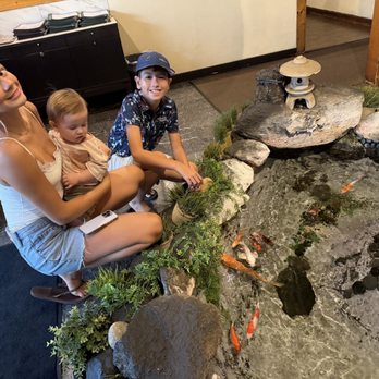 Tokyo Garden - Koi pond - Japanese Near Me - Bakersfield, California