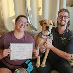 Paws The Attitude - Celebrating Bing's graduation from Puppy Foundations