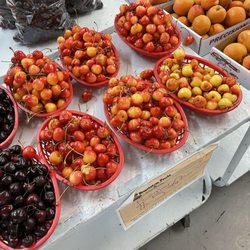 Precision Fruit and Antiques