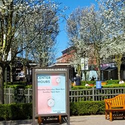 The Mall At Partridge Creek Giftly Beautiful Gift Card Alternative