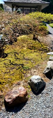 Kasugai Gardens by null