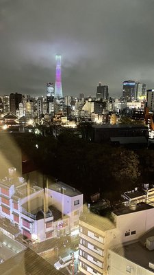 Richmond Hotel Premier Asakusa International by null