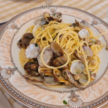 Il Ragno d'Oro - Spaghettone ale vongole (clams) - Italian Near Me - Rome, RM