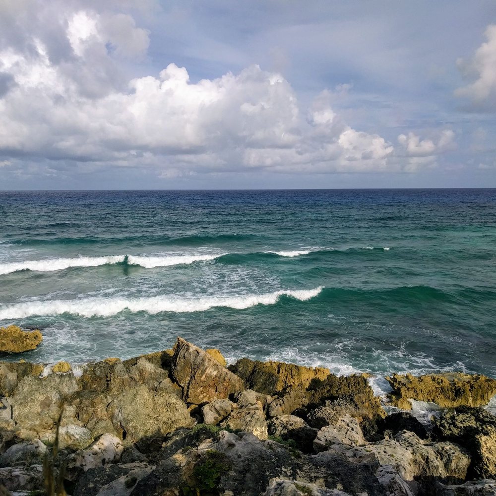 Coconuts Bar & Grill - Great scenery - Bars Near Me - Cozumel, ROO Coconuts Bar & Grill - Great scenery - Bars Near Me - Cozumel, ROO