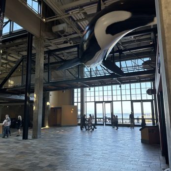 Monterey Bay Aquarium - Aquariums Near Me - Monterey, California Monterey Bay Aquarium - Aquariums Near Me - Monterey, California