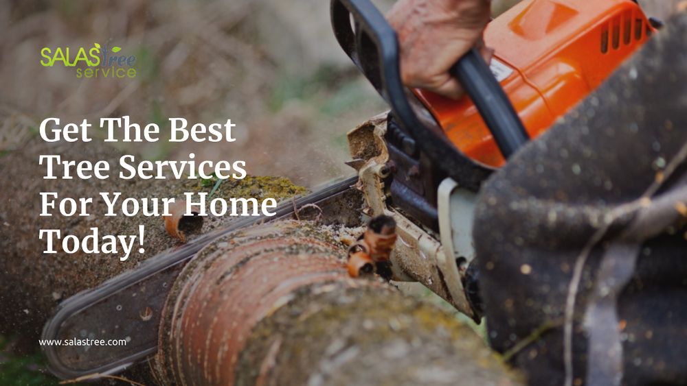 Salas Tree Service - tree service in Tucker, GA