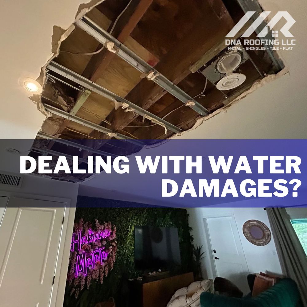 Slide of DNA Roofing