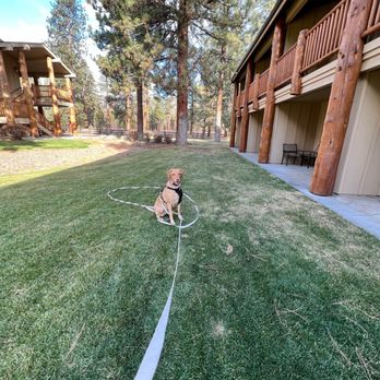 Best Western Grants Pass Inn - Along the backside of our hotel room & each room had an open patio area - Hotels Near Me - Grants Pass, Oregon Best Western Grants Pass Inn - Along the backside of our hotel room & each room had an open patio area - Hotels Near Me - Grants Pass, Oregon