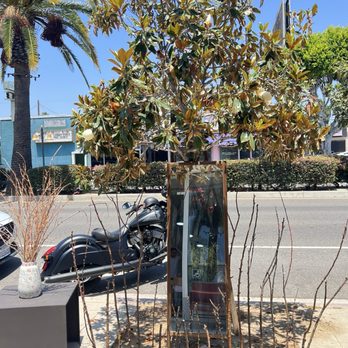 Bostan By Grandma - Out door seating vibe - Breakfast & Brunch Near Me - Granada Hills, California