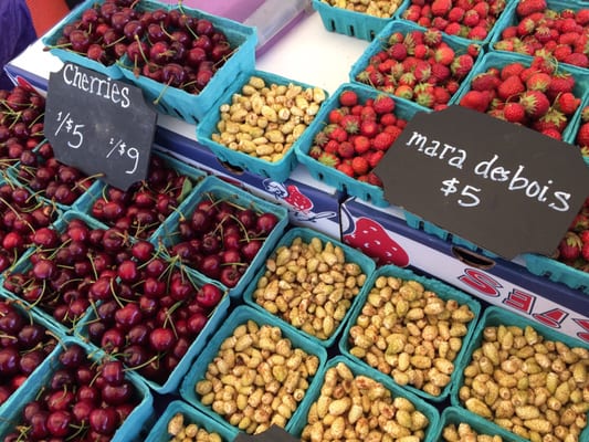 Lincoln Square Farmers Market by null