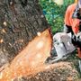 Chilel Tree Service