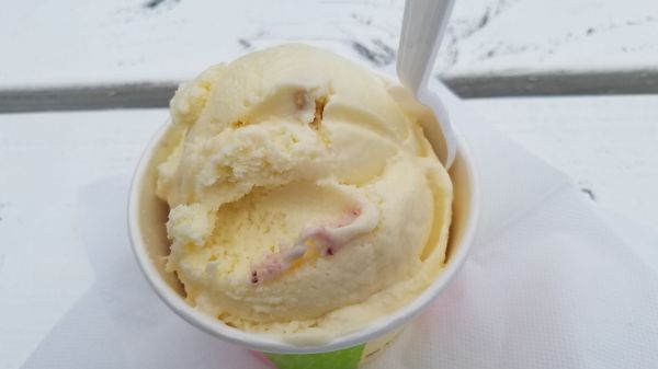 The Screamery by null