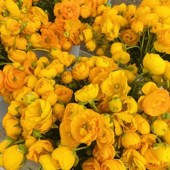 Temescal Farmers Market - Flowers - Farmers Market Near Me - Oakland, California Temescal Farmers Market - Flowers - Farmers Market Near Me - Oakland, California