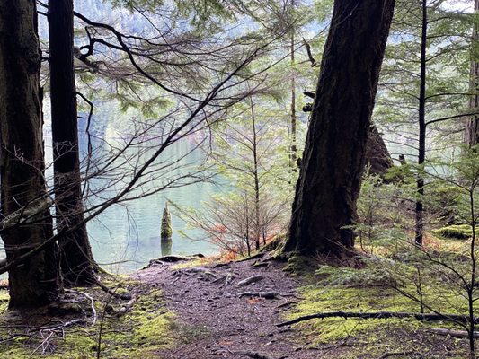 Moran State Park by null