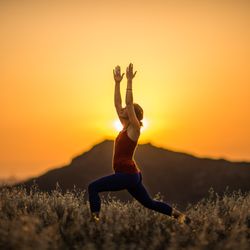 Sage Yoga and Wellness - Warrior I