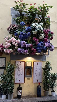 Osteria Belle Donne by null