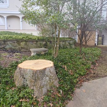 Ax Tree Services - Landscaping Near Me - Bealeton , Virginia Ax Tree Services - Landscaping Near Me - Bealeton , Virginia