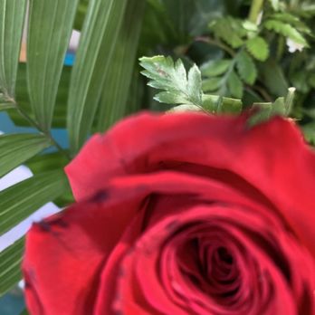 Blanquita's Flower Shop - Florists Near Me - Houston, Texas Blanquita's Flower Shop - Florists Near Me - Houston, Texas