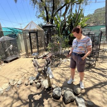 Free Flight - Animal Shelters Near Me - Del Mar, California