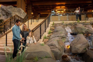 Gaylord Rockies Resort & Convention Center by null