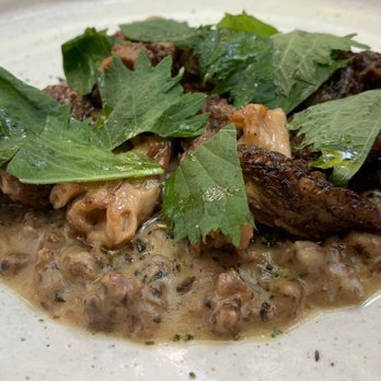 Meroma - Mushroom - Signature Cuisine Near Me - Ciudad de México, DIF Meroma - Mushroom - Signature Cuisine Near Me - Ciudad de México, DIF