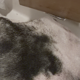 This was the towel I used to wipe the food coloring from them This was the towel I used to wipe the food coloring from them