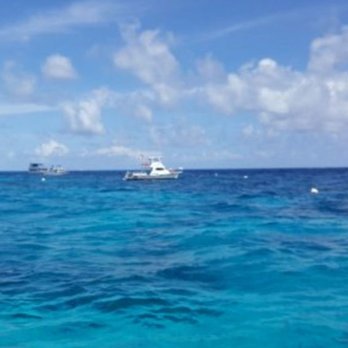 Molasses Reef - Diving Near Me - Key Largo, Florida