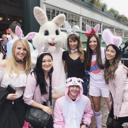 Bunny Con