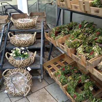 Blume 2000 - Bei Schnee und Eis stehen kaum Pflanzen draußen. - Florists Near Me - Hamburg, HH