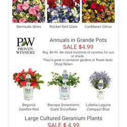English Gardens - Memorial Day Weekend Planting Sale.  5/28/2021