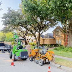 Herbst Tree Service - Trimming a couple Bradford pear trees