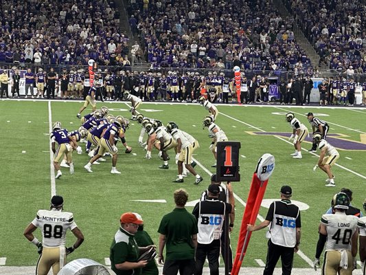 Husky Stadium by null