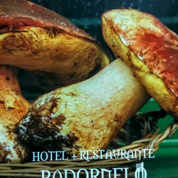 Padornelo - Hotels Near Me - Padornelo, ZA