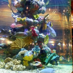 Fish tank in the center of the dining room